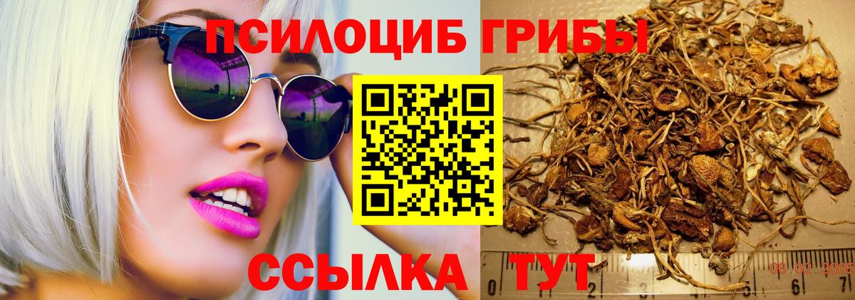Псилоцибиновые грибы ЛСД  Псилоцибиновые грибы прущие грибы  Киселёвск  купить наркотики цена  Вход с VPN 