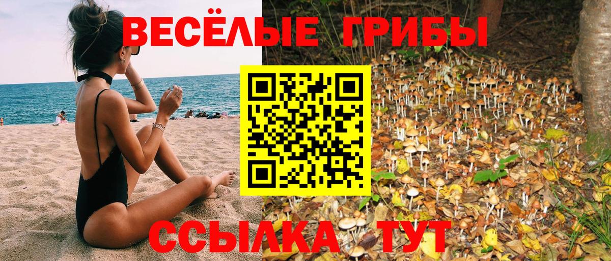 Галлюциногенные грибы Psilocybine cubensis Киселёвск
